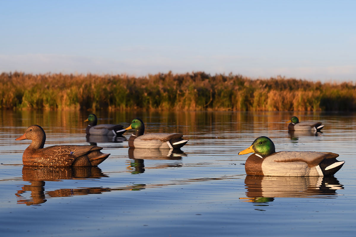 Super Magnum Mallard Decoys – Tanglefree Shop