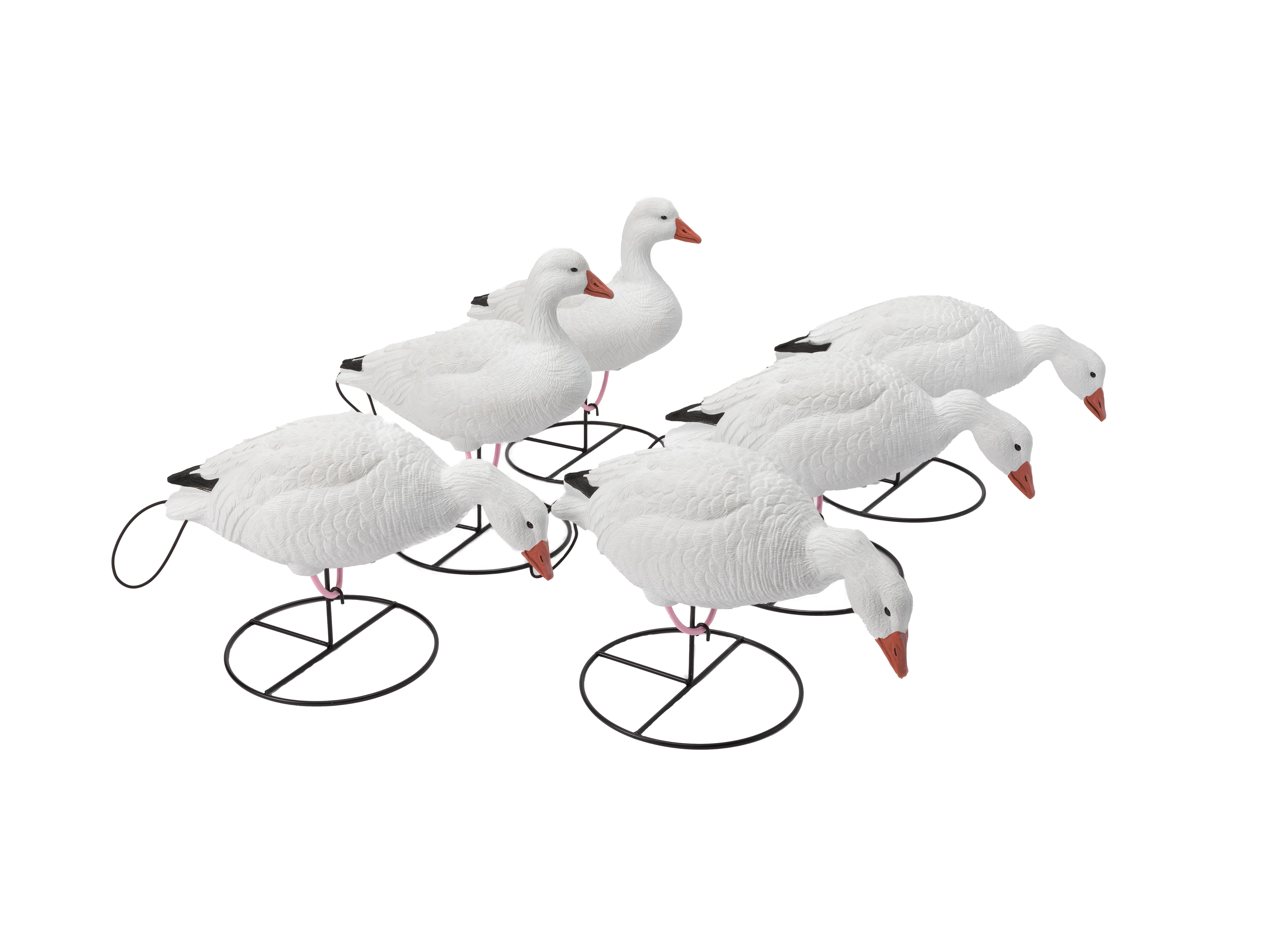 Full Body Goose Decoys – Tanglefree Shop