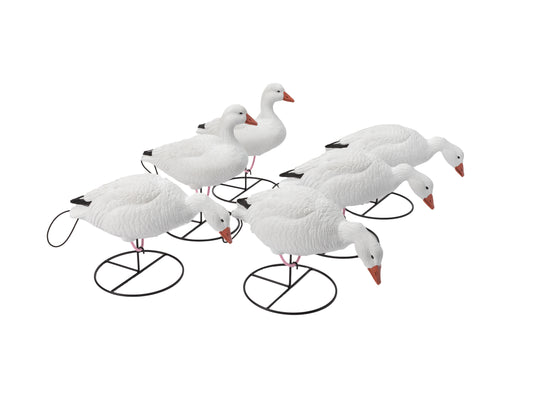 Flight Series Full Body Snow Goose Decoy Combo Pack