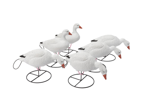 Flight Series Full Body Snow Goose Decoy Combo Pack