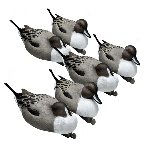 Pro Magnum Pintail Decoys 6-Pack