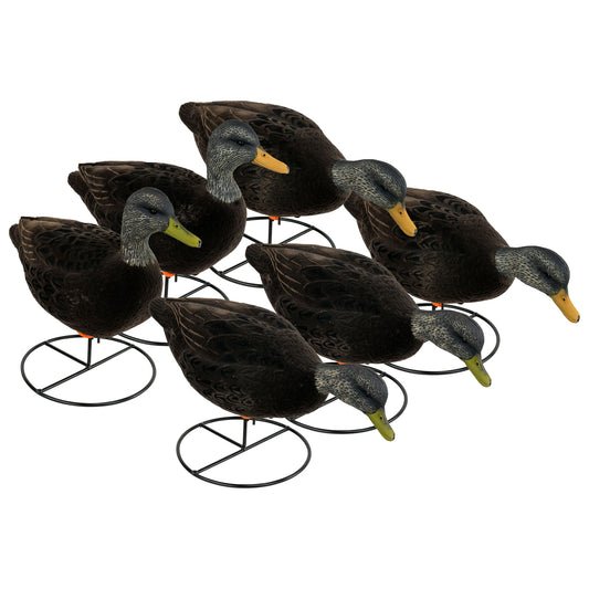 Flight Fully Flocked Full Body Black Duck 6-Pack