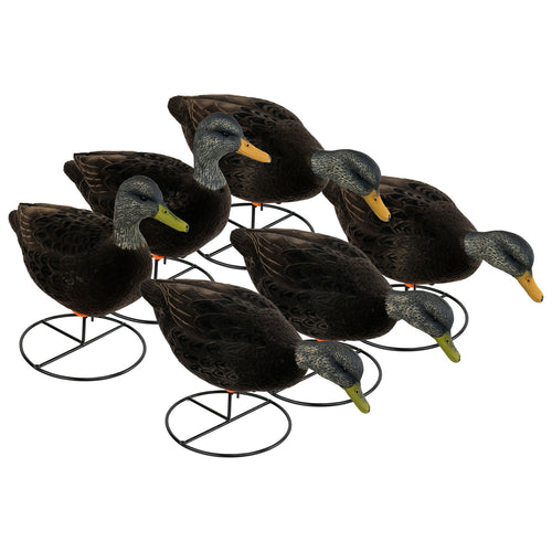 Flight Fully Flocked Full Body Black Duck 6-Pack