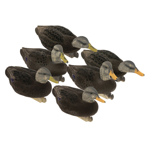 Flight Flocked Black Duck 6-Pack