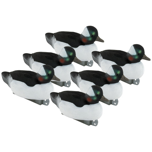 Migration Bufflehead 6-Pack