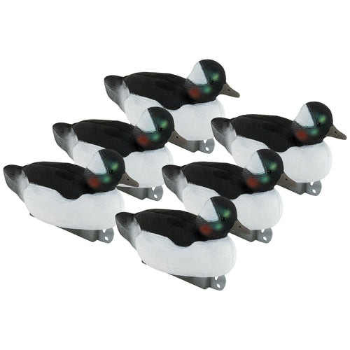 Migration Bufflehead 6-Pack