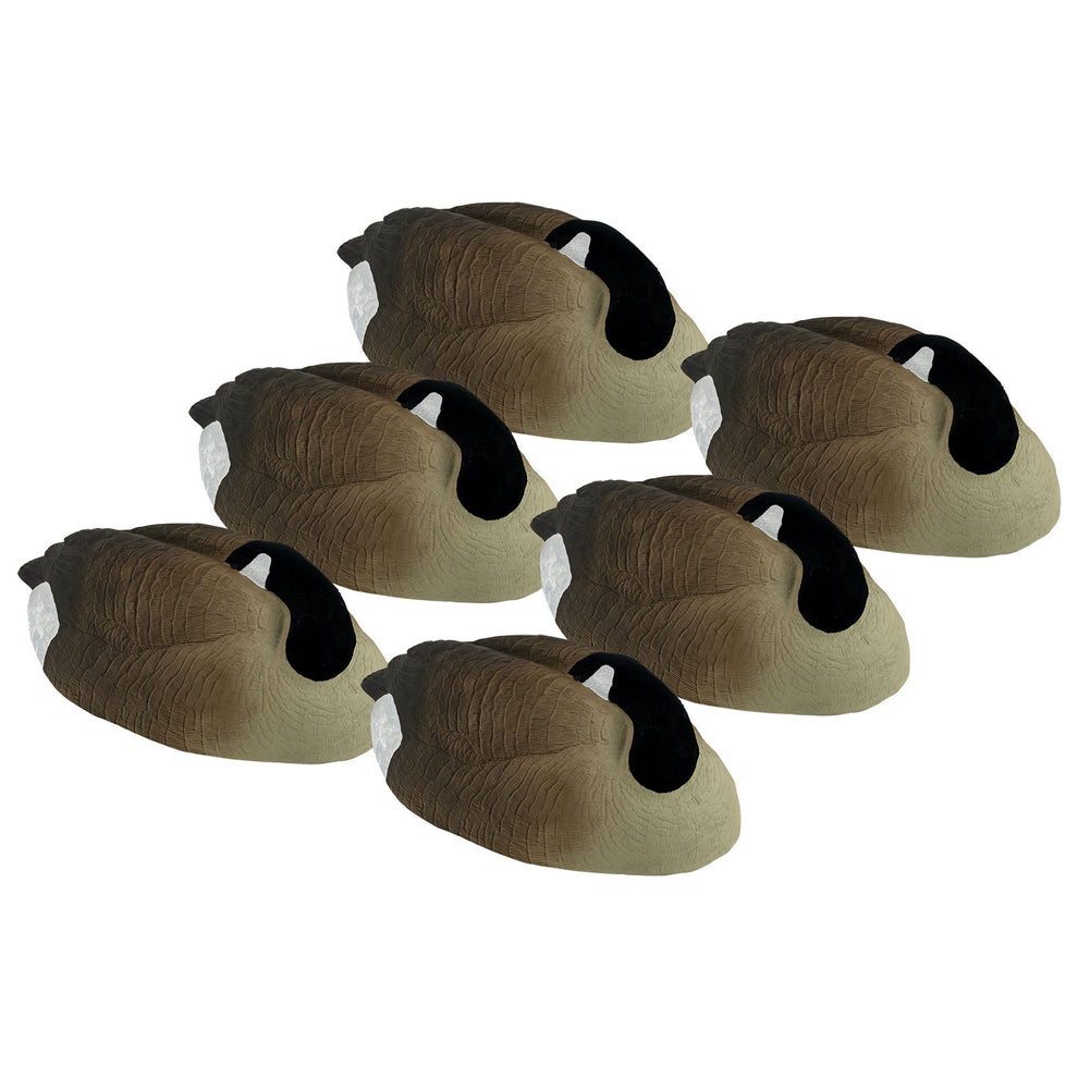 Pro Canada Goose Sleeper Shell 6-Pack – Tanglefree Shop