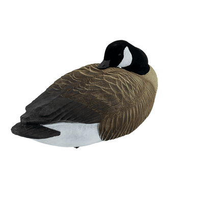 Pro Series Canada Goose Sleeper Floater