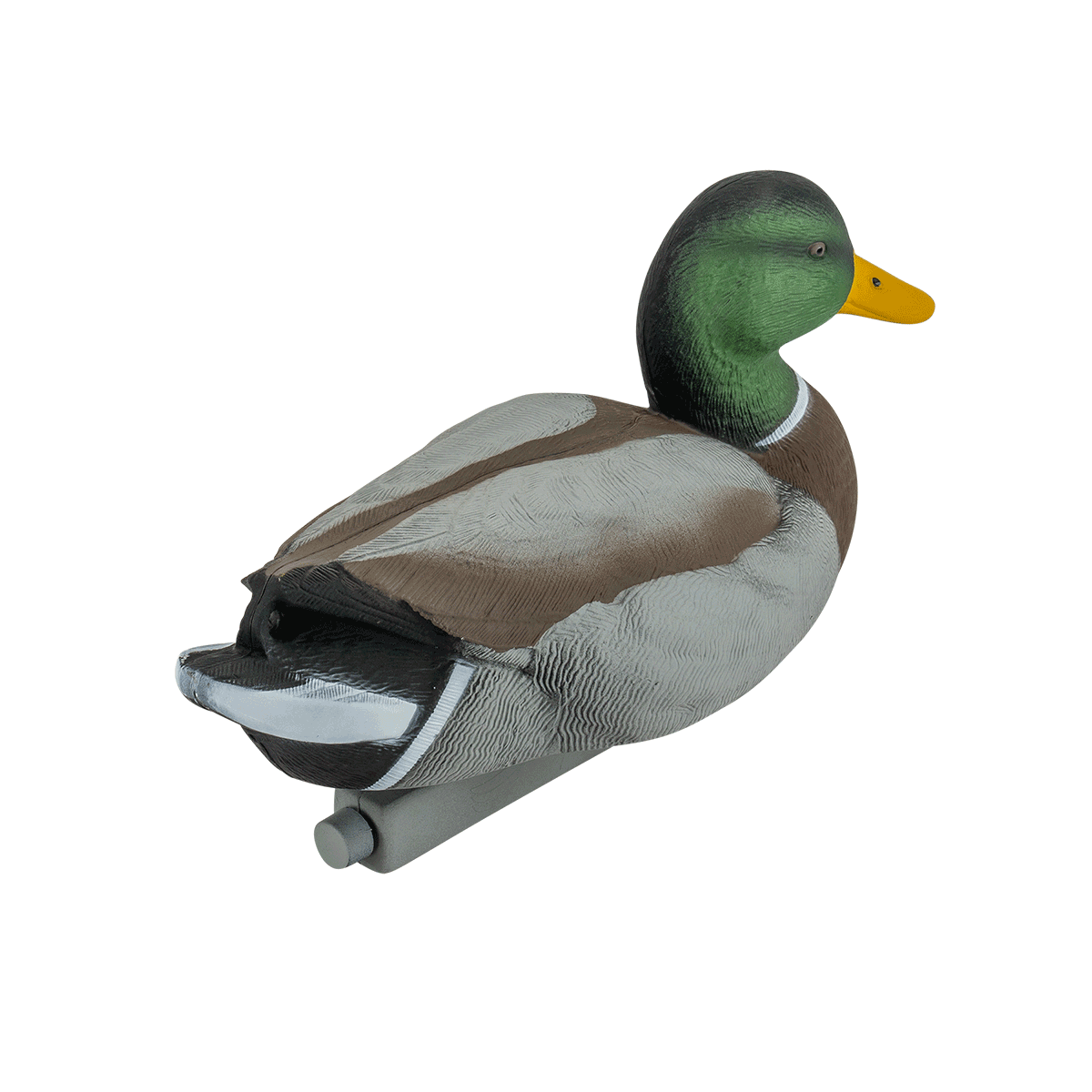 Mallard duck decoy rotating image