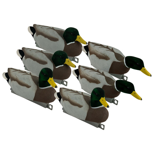 Migration Edition Mallard Drake Combo Pack - Flocked Head & Tail