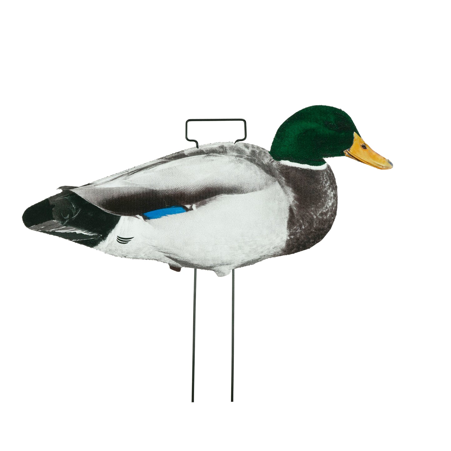 Mallard drake skinny decoy