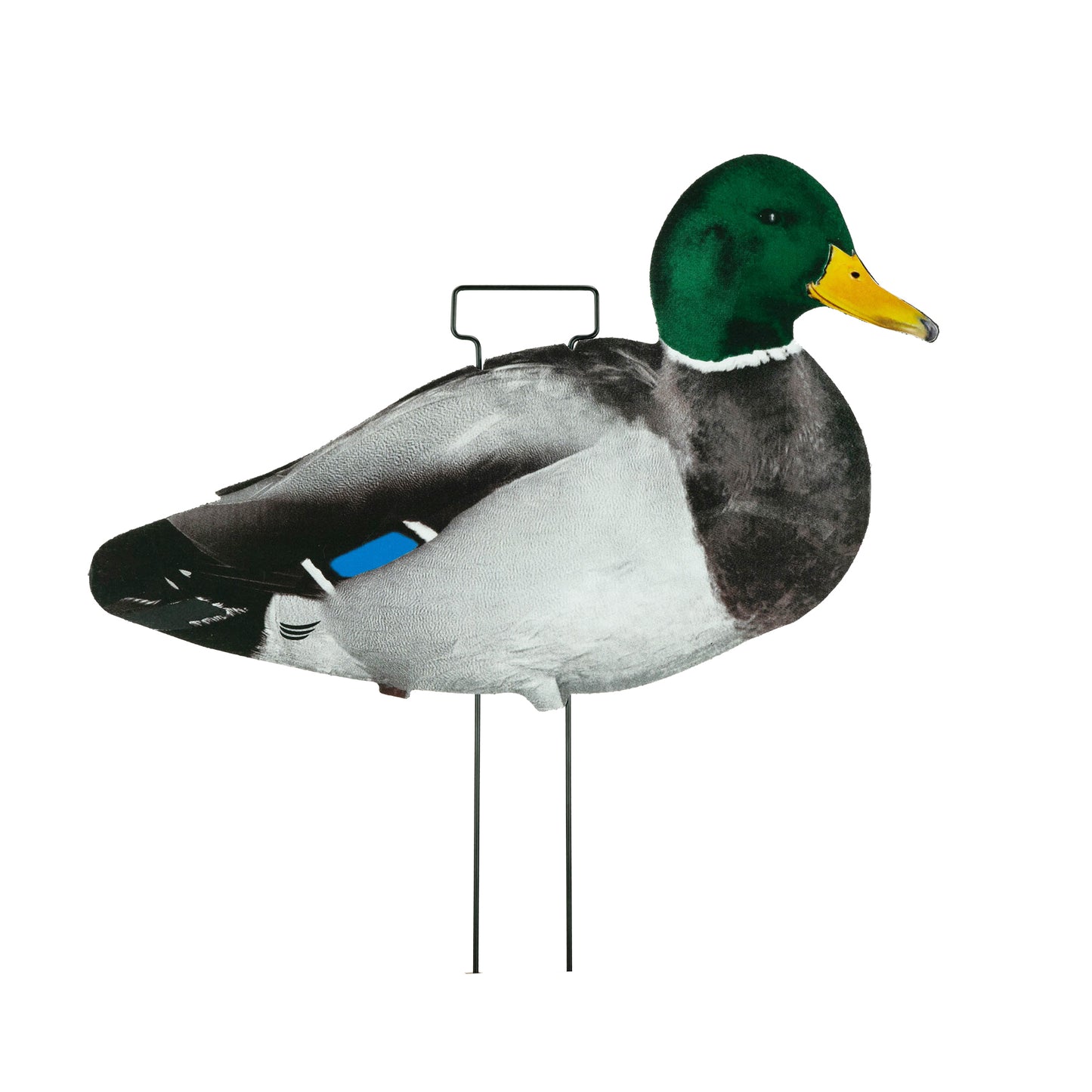 Mallard drake skinny decoy