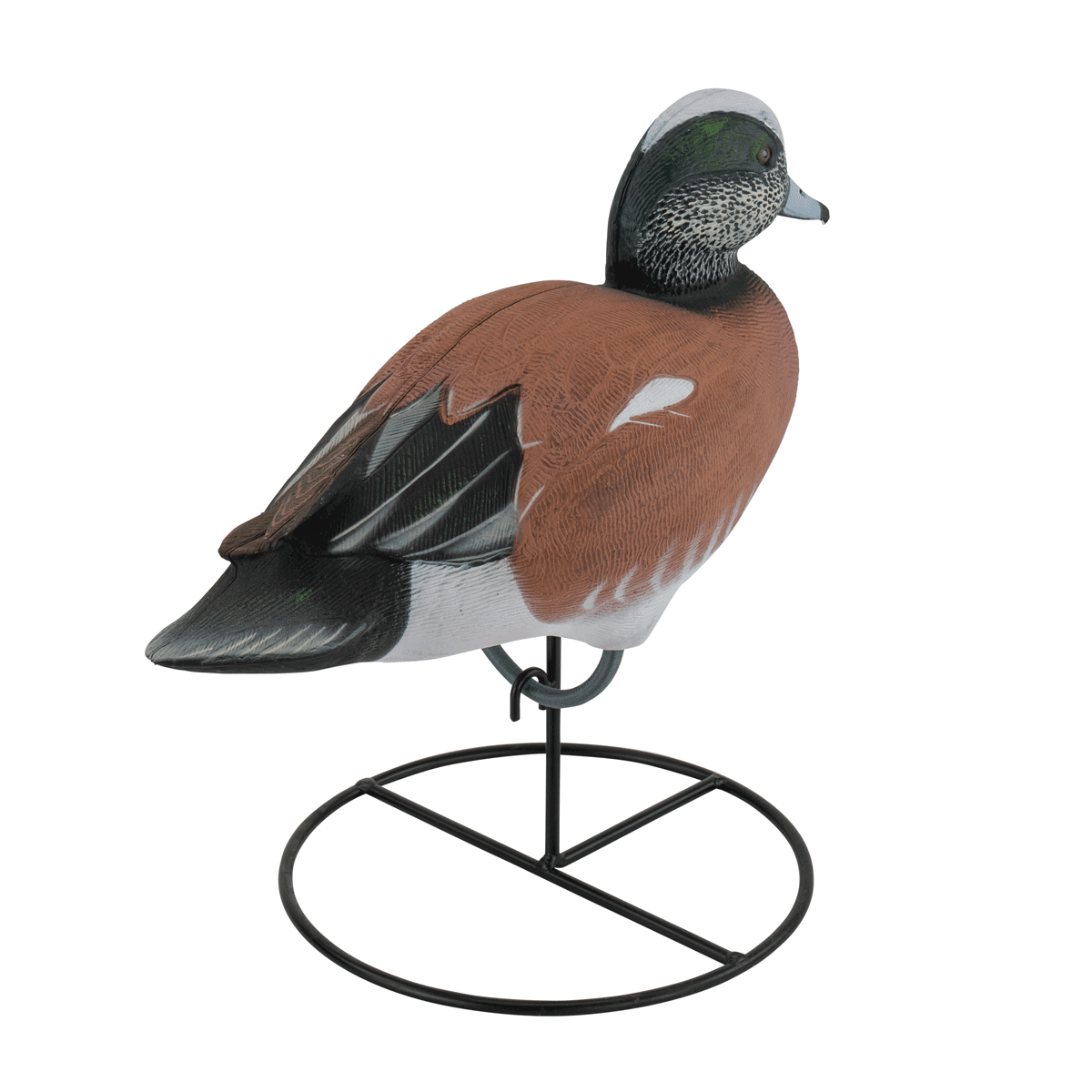 Pro Series Full Body American Wigeon – Tanglefree Shop
