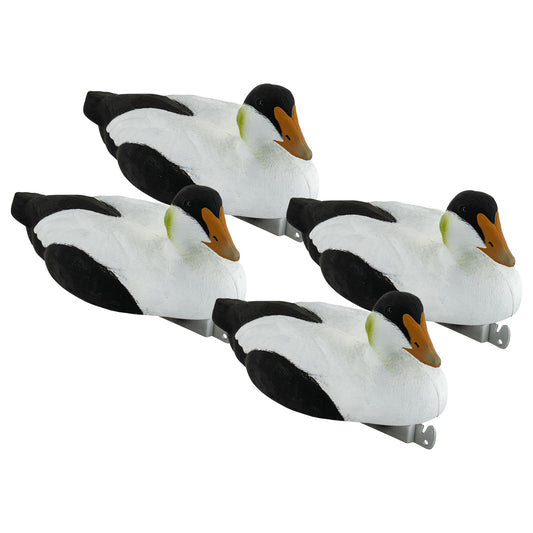 Migration Edition Eider 4-Pack