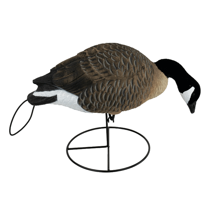Decoys Tanglefree Shop