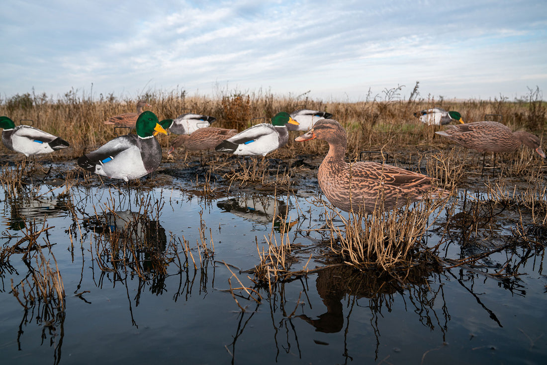 Fully Flocked Mallard Skinny Decoys (12 Pack) – Tanglefree Shop