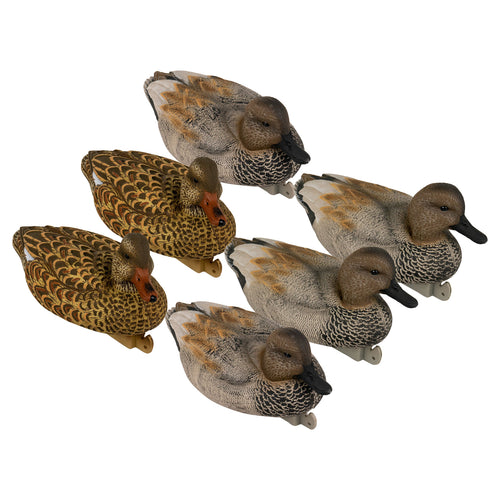 Flight Gadwall 6-Pack