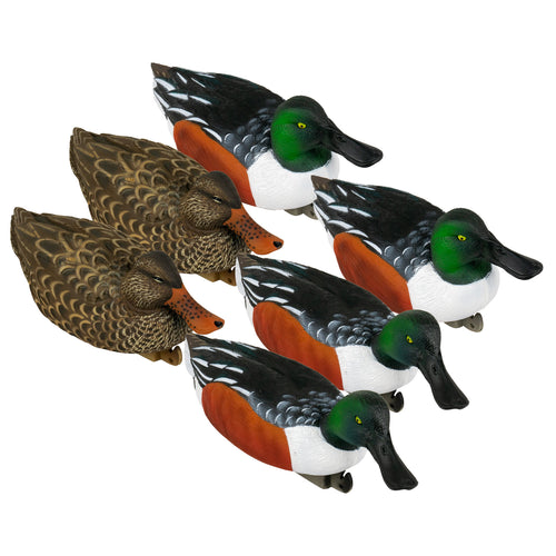 Flight Northern Shoveler (Spoonie) 6-Pack