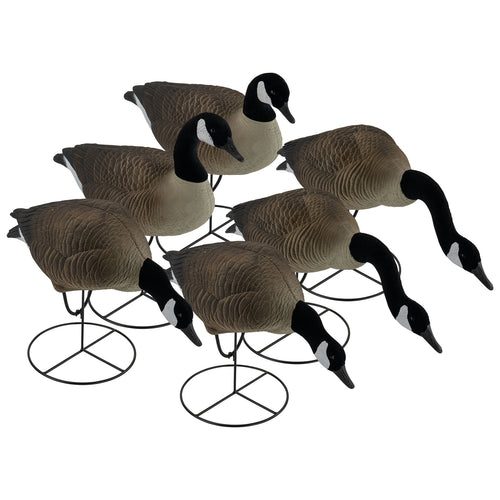 Pro Full Body Canada Goose Combo Pack 6-Pack