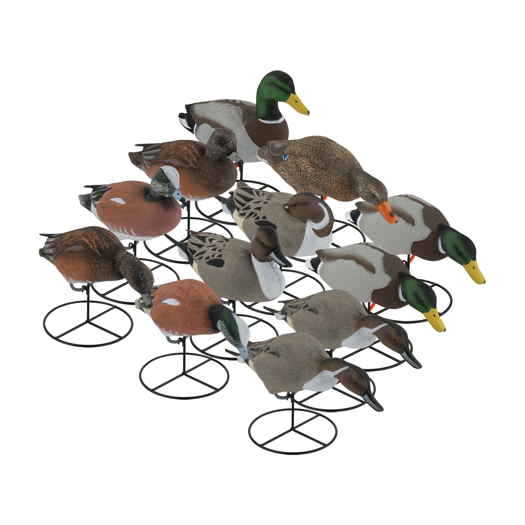 12 mixed duck decoys at a 3/4 angle