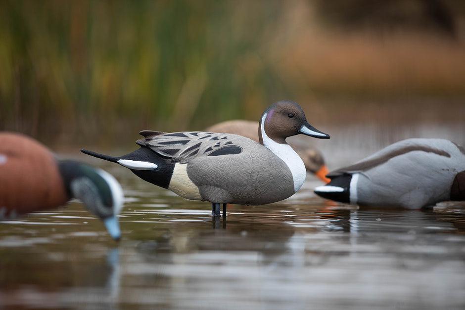 Full Body Duck Decoys – Tanglefree Shop