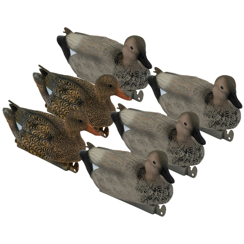 Pro Gadwall 6-Pack