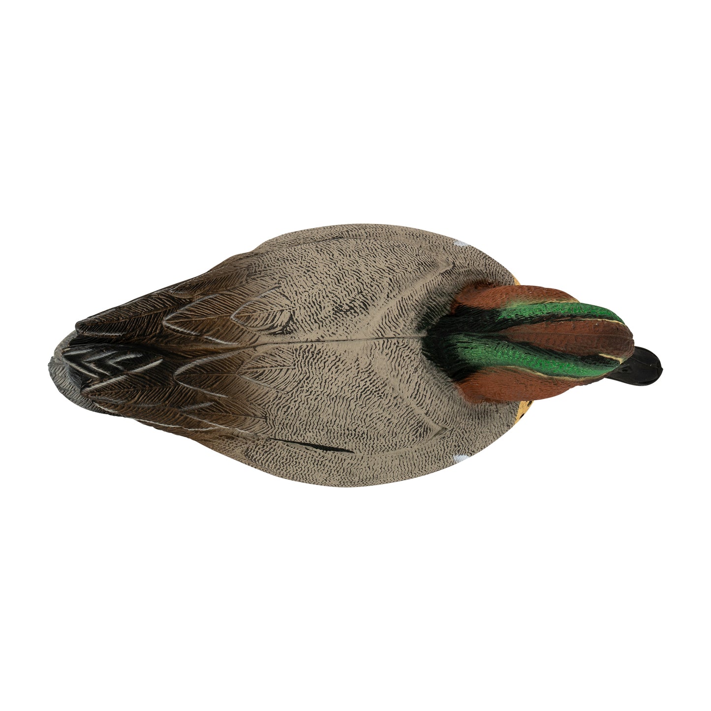 Flight Green Wing Teal