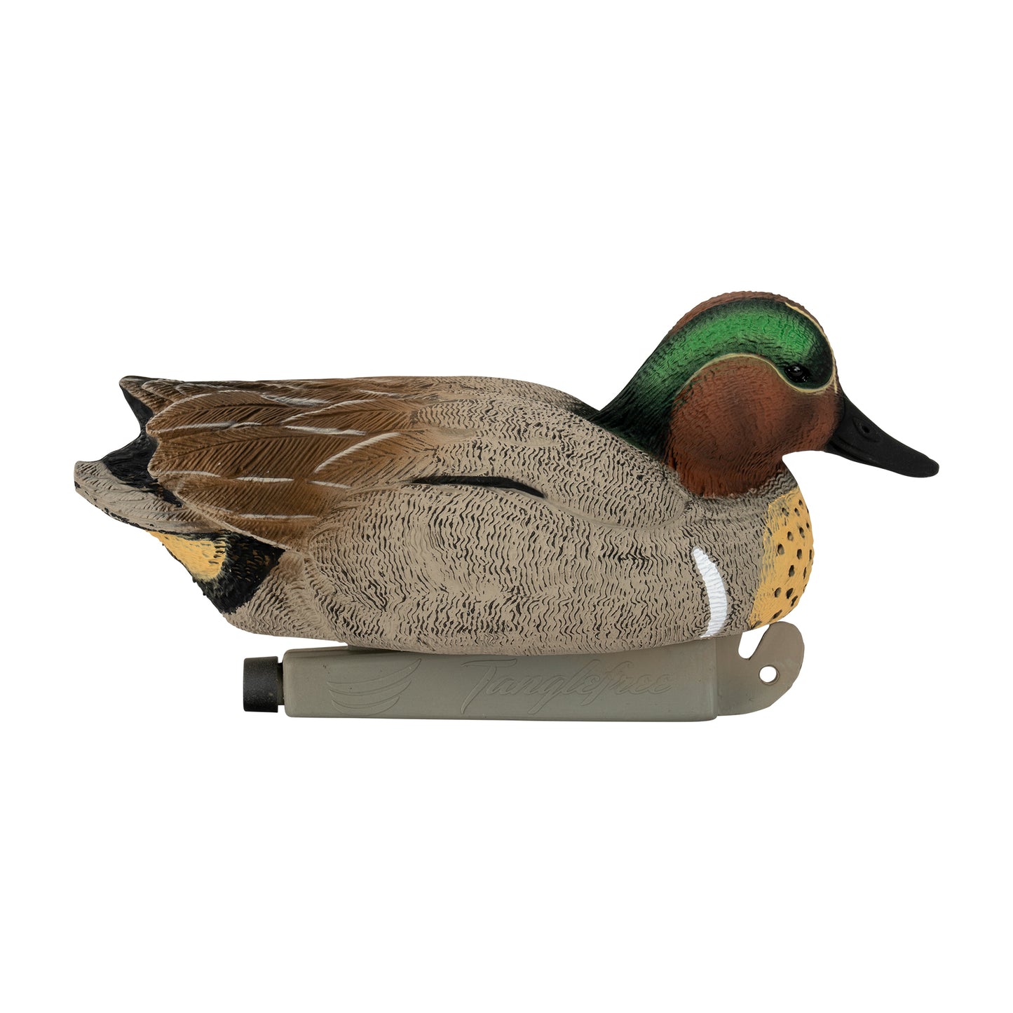 Flight Green Wing Teal