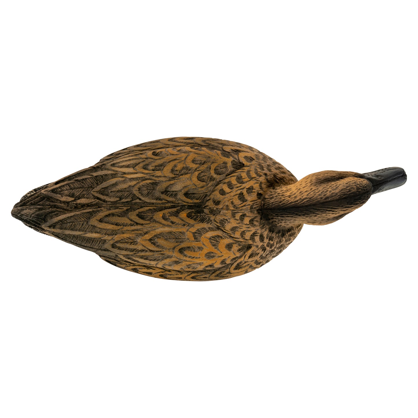 Flight Green Wing Teal