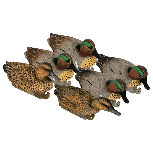 Flight Green Wing Teal 6-Pack