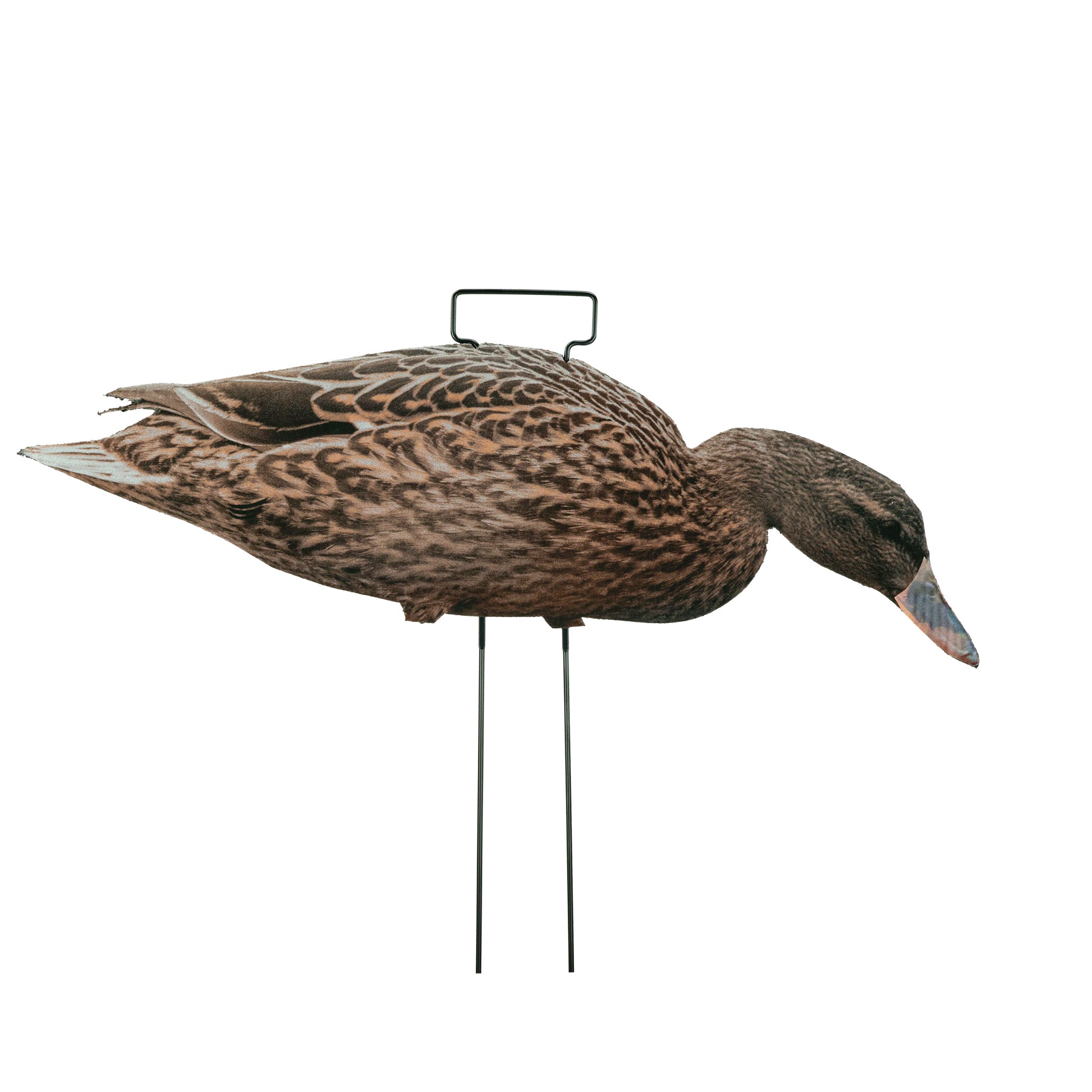 Fully Flocked Mallard Skinny Decoys (12 Pack) – Tanglefree Shop