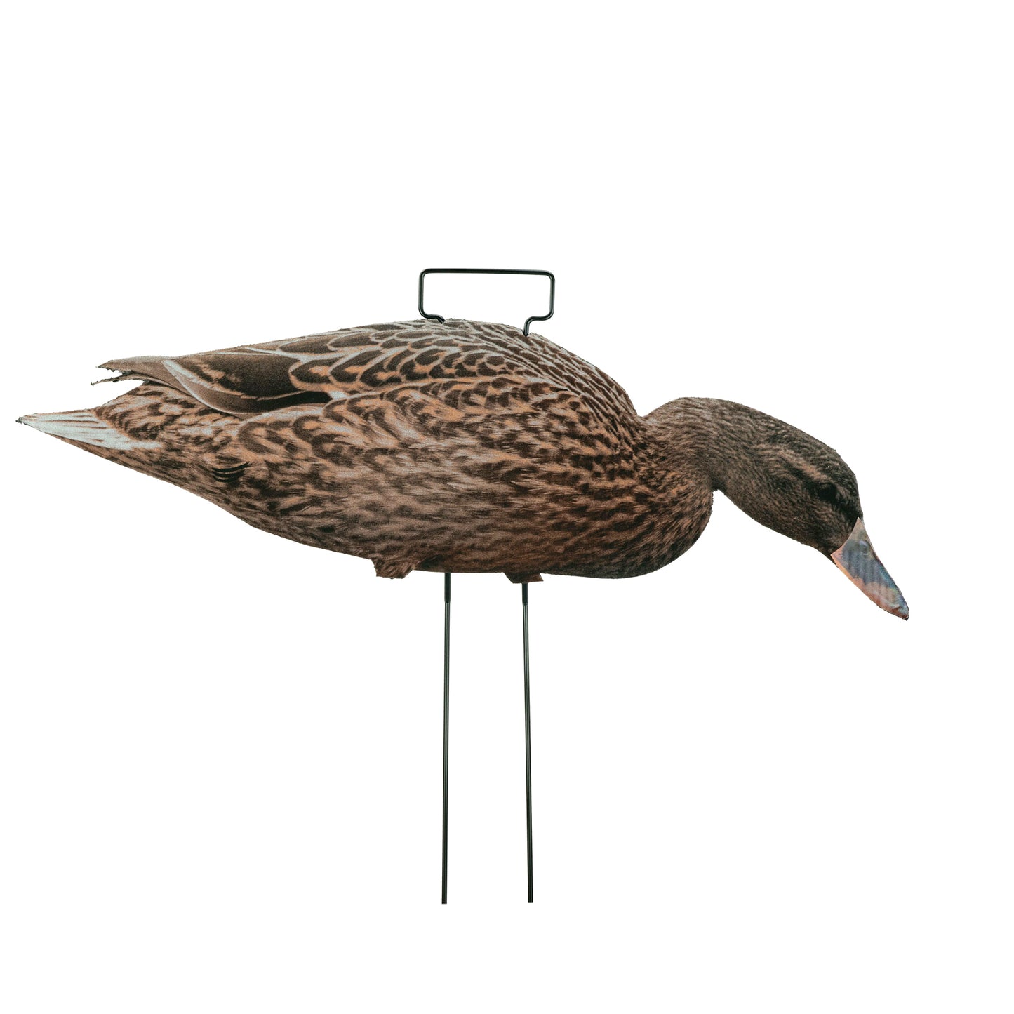 Mallard hen skinny decoy