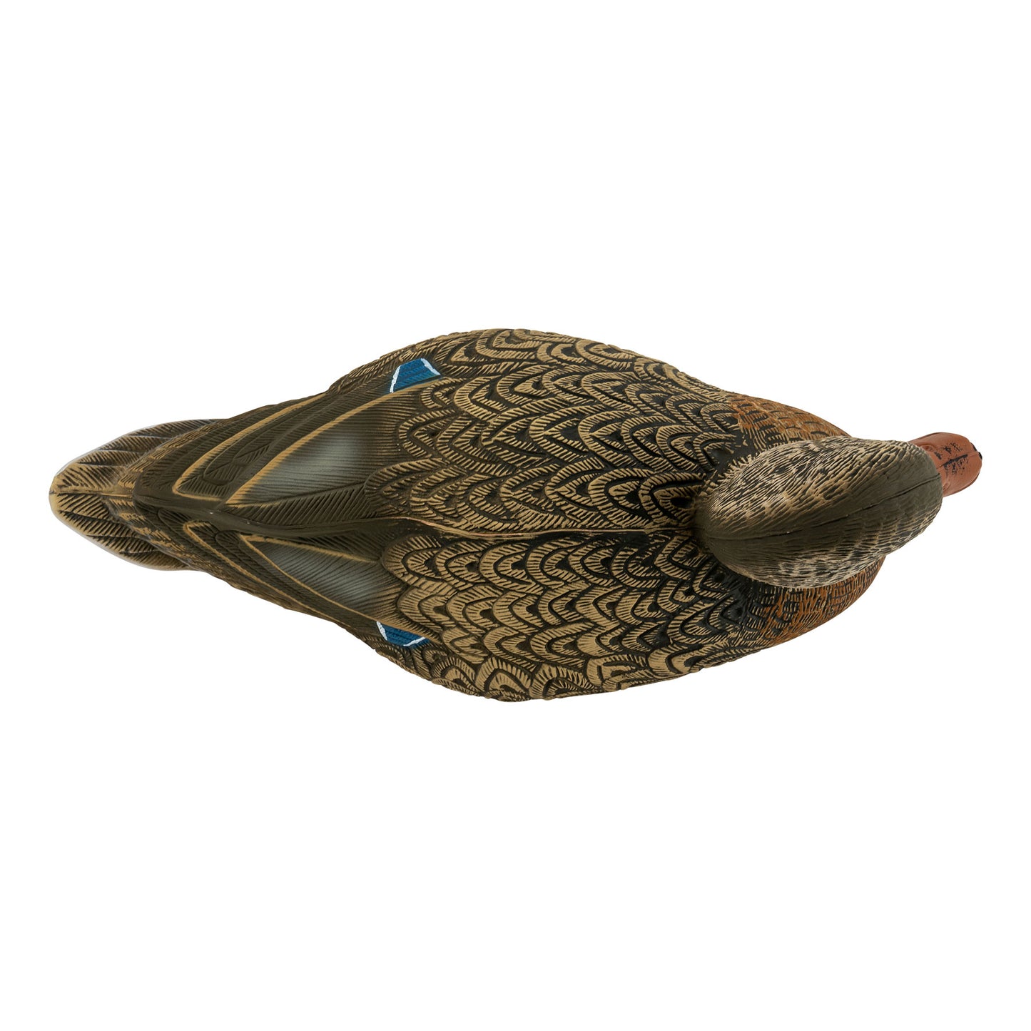 Mallard hen decoy top down image