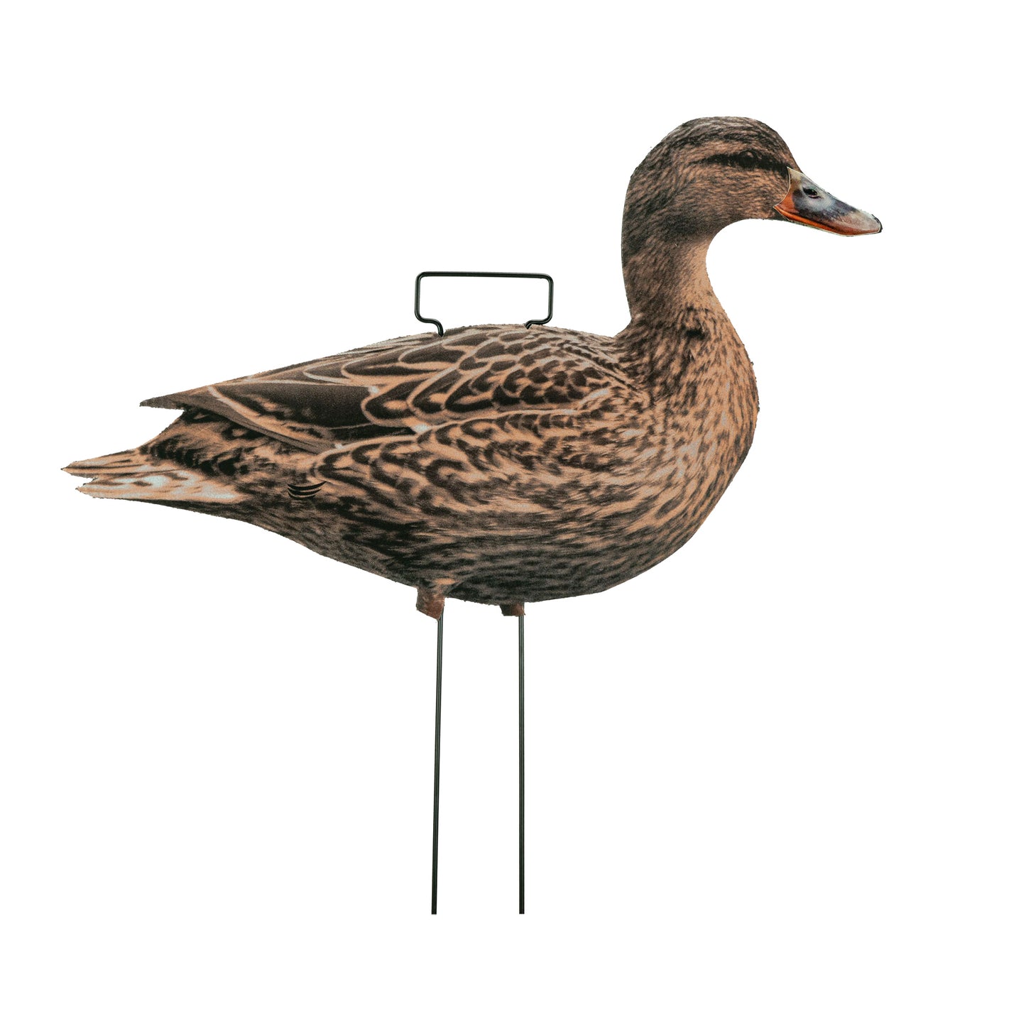 Mallard hen skinny decoy