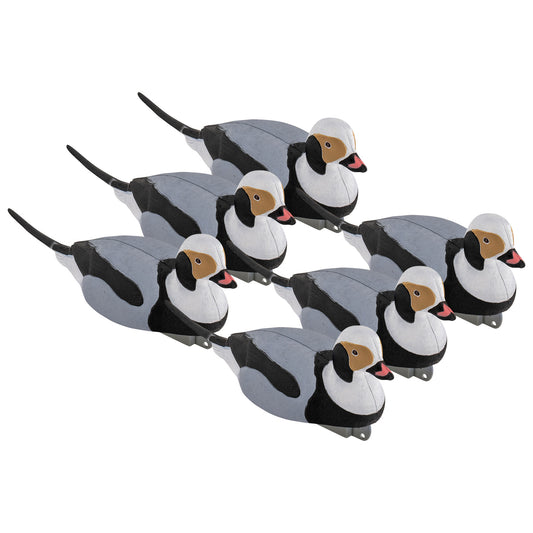 Migration Longtail 6-Pack