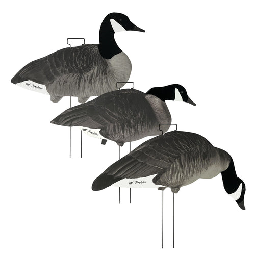 Canada Skinny Decoys 12-Pack