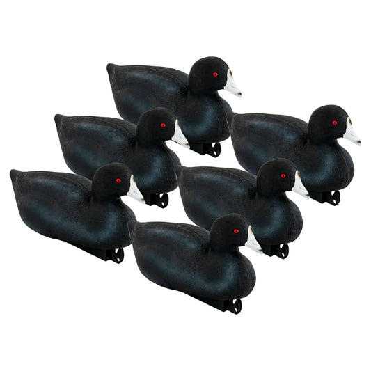 Pro Coot 6-Pack