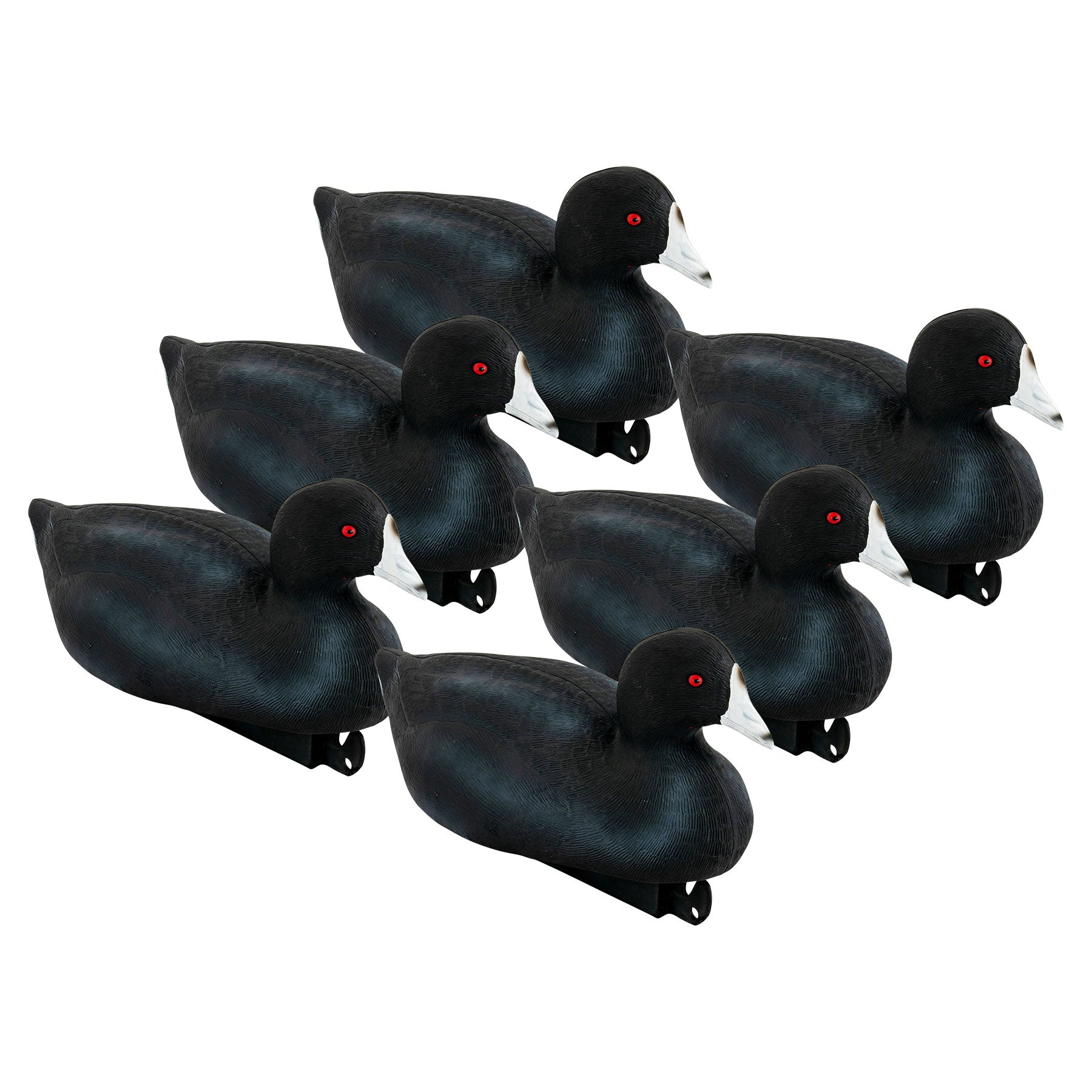 Pro Coot – Tanglefree Shop