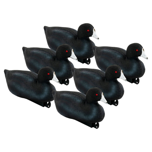 Pro Coot 6-Pack
