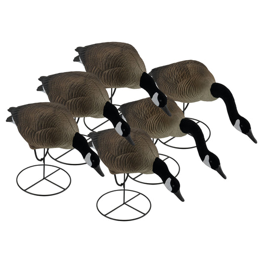 Pro Full Body Canada Goose Feeders 6-Pack