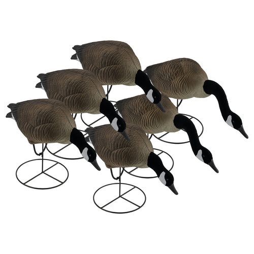 Pro Full Body Canada Goose Feeders 6-Pack