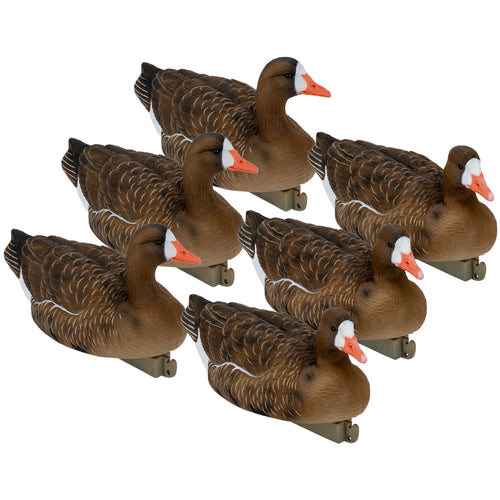 Flight Specklebelly Floater Decoys 6-Pack