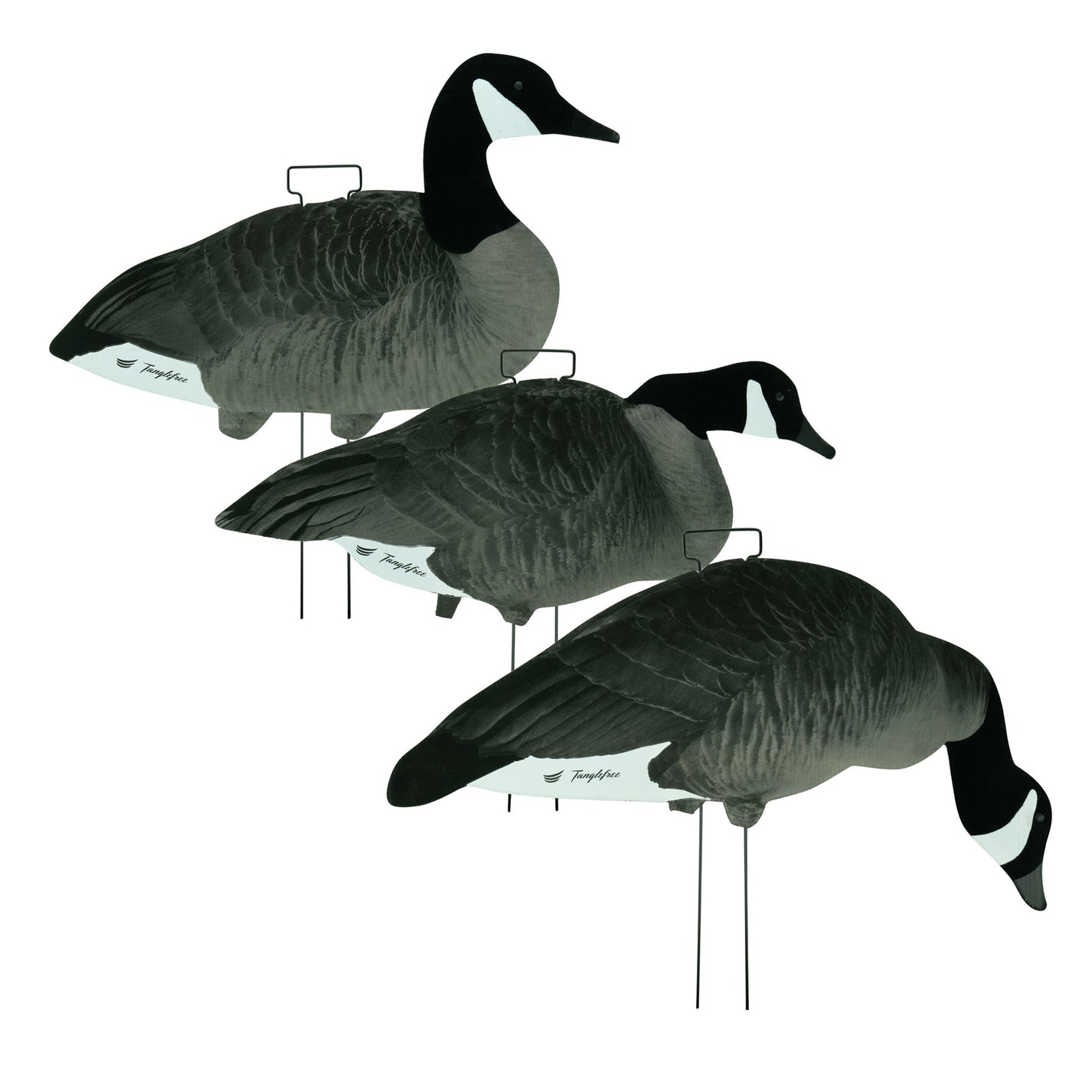 Fully Flocked Canada Skinny Decoys (12 Pack) Tanglefree Shop
