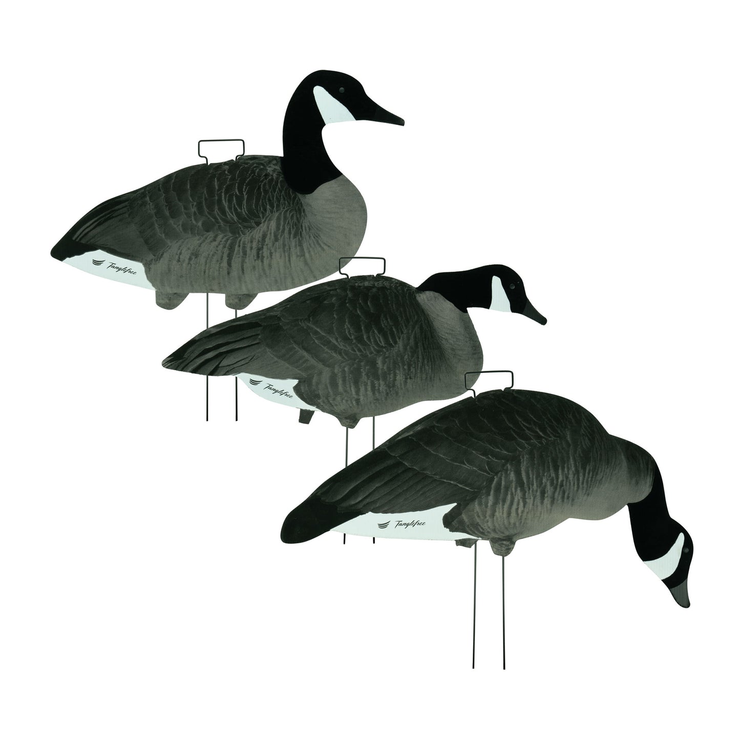 Fully Flocked Lesser Canada Skinny Decoys (12 Pack)