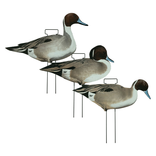 Fully Flocked Pintail Skinny Decoys 12-Pack