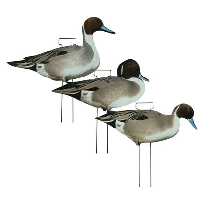Fully Flocked Pintail Skinny Decoys (12 Pack)