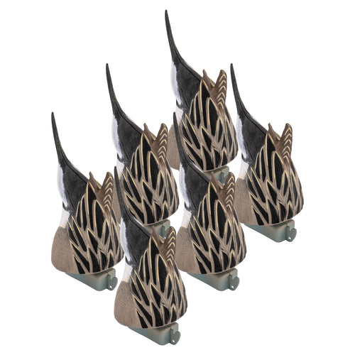 Pro Pintail Feeders "Butts" Drakes 6-Pack
