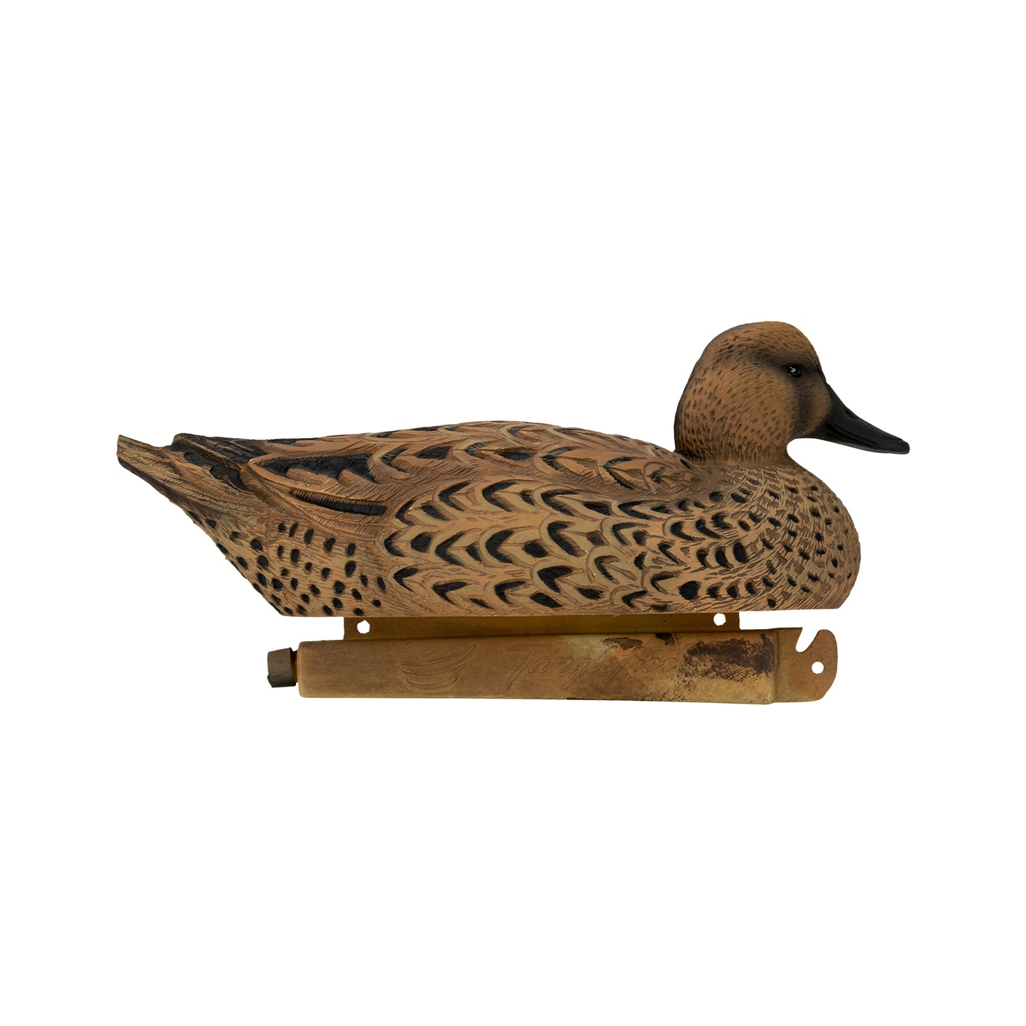 Flight Pintail