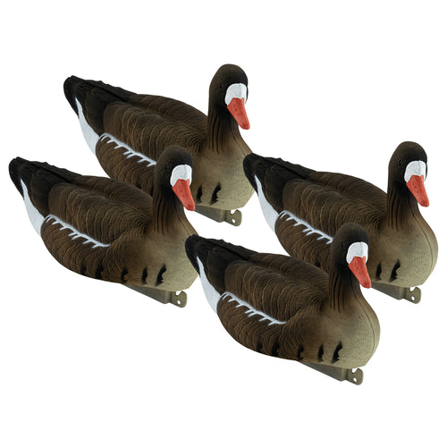 Specklebelly Goose Floater 4-Pack
