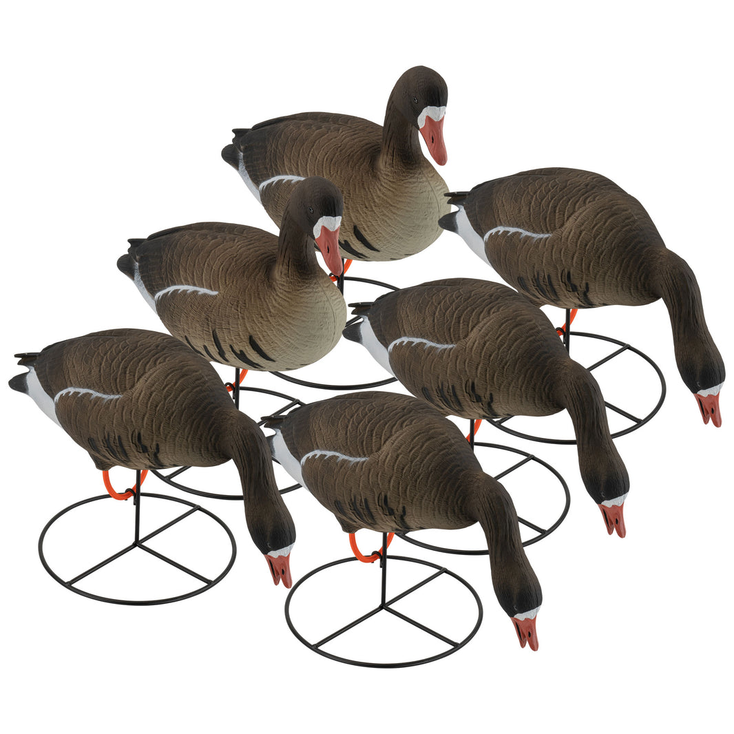 Full Body Goose Decoys – Tanglefree Shop